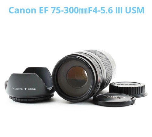 Canon 300mm 5 - ef, f4-5.6