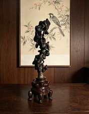 #11089.bellissimo bonsai