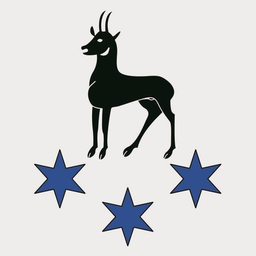 Bandiera sonogno - bandiera,