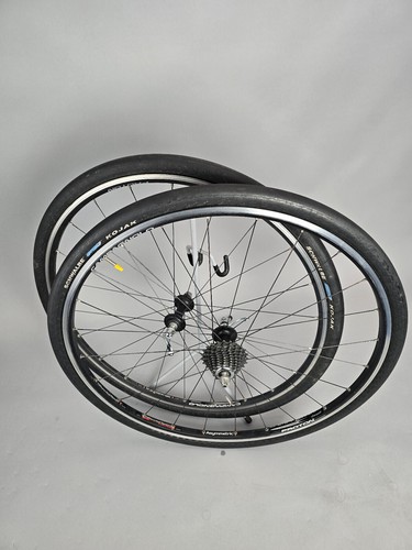 Kit ruote campagnolo proton - campagnolo,