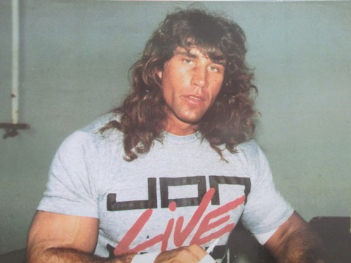 Wwf wrestling superstars - wwf,