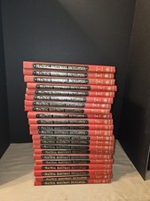 practical handyman's