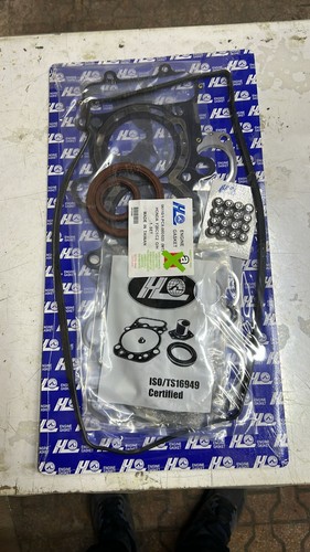 06110 pzx 010 set - set, guarnizioni