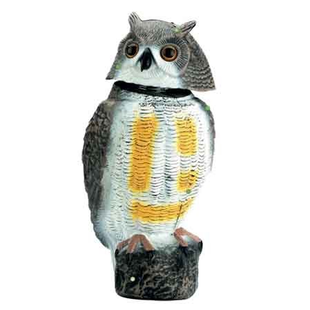Gufo spaventapasseri cm - gufo, 42