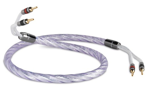 Qed signature genesis silver - signature,