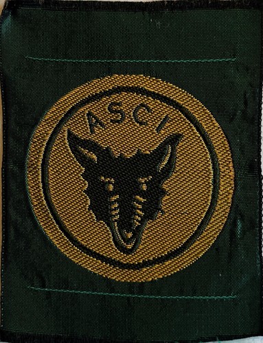 Asci scout scautismo promessa - asci,