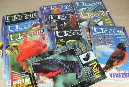 Lotto giornale degli - lotto,