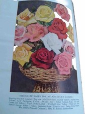 THE CONCISE GARDENING MANUAL