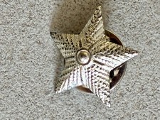 Pins Stelle argentate per