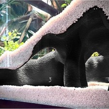 Angolo Acquario Terrario Nascondiglio Finta Radice di Mangrovia per Pesci Rettil