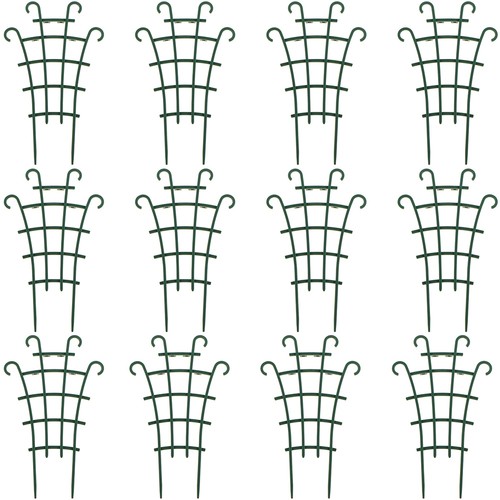 1X(Supporto rampicante per