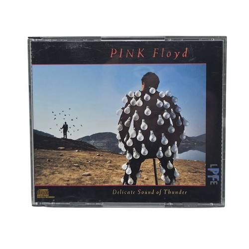 Pink floyd delicate sound - floyd,