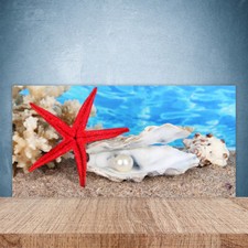 Paraschizzi da Cucina 100x50 Vetro Temperato Conchiglie di stelle marine Natura