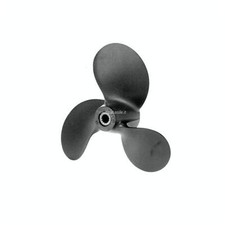 Elica Evinrude Johnson BRP - 1