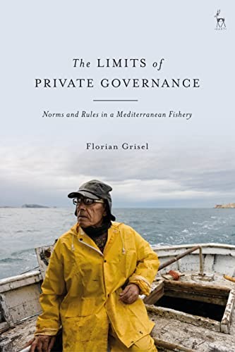 Limits private governance - of,