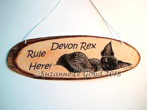 Devon rex cat art painting - cat,