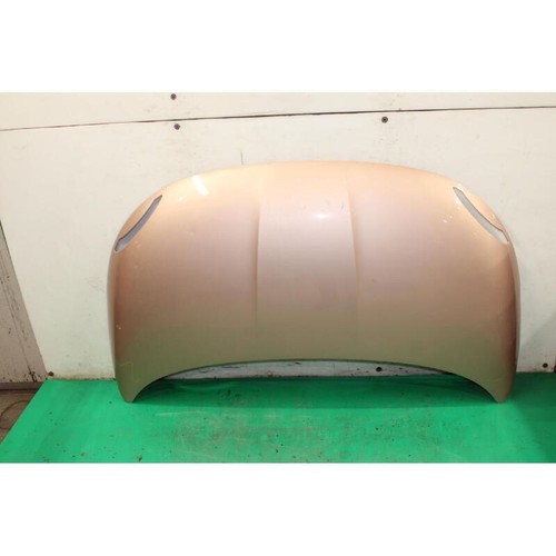 Cofano ant fiat 500e - 500e, (20)