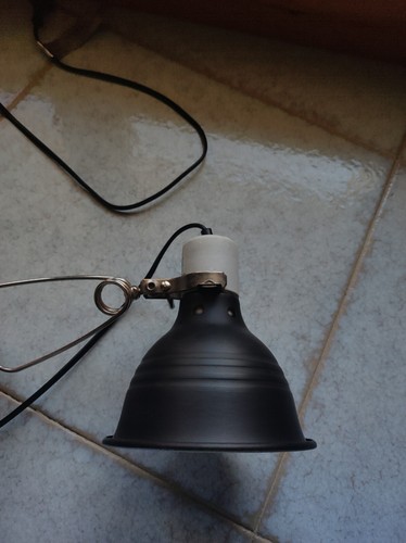 Plafoniera per rettili - per,