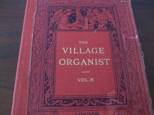 Organista del villaggio - l'organista,