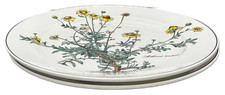 Villeroy & Boch Botanica Piatto da Pranzo Anthemis con Radici Lussemburgo Set di 2