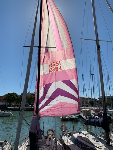 Vela spinnaker spy in ottimo - -,