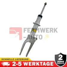 1x AMMORTIZZATORE PASM CENERE