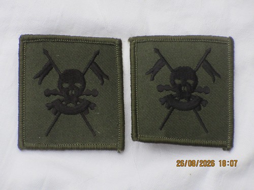 Queens royal lancers patch - queens,