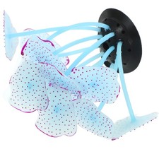  Piante Acquario Coralli