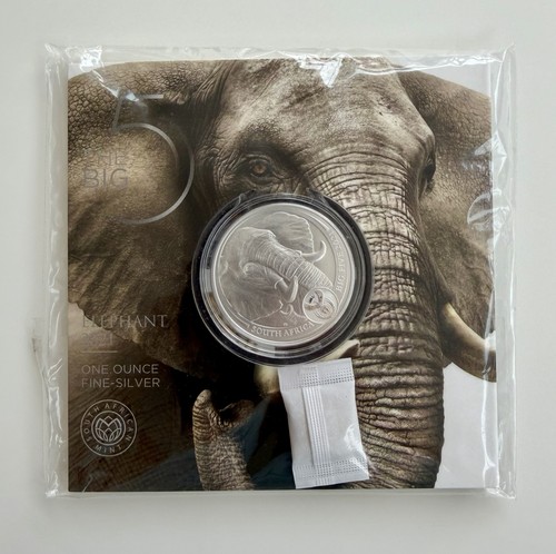Sudafrica big five elefant - big,