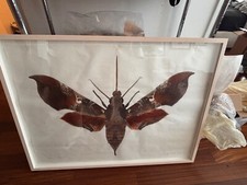 2014 Joseph Scheer Print