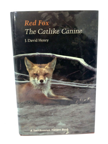 Red fox the catlike - red, :