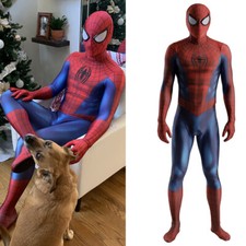 Costume Spider-Man Ultimate