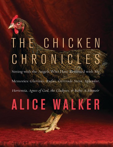 The chicken chronicles - chicken,
