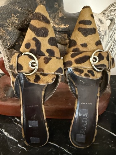Splendido prada - ****splendido****,
