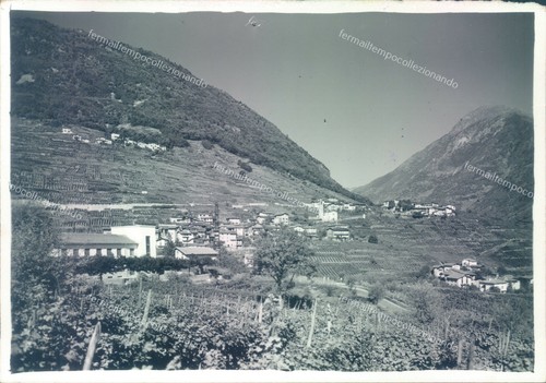 D414 bozza fotografica - bozza,