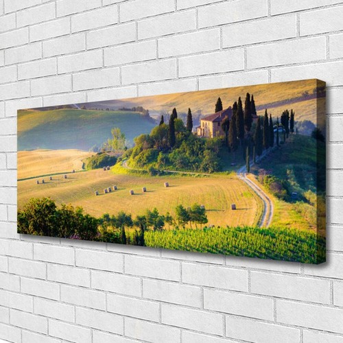 Moderni astratti 125x50 - moderni, quadro