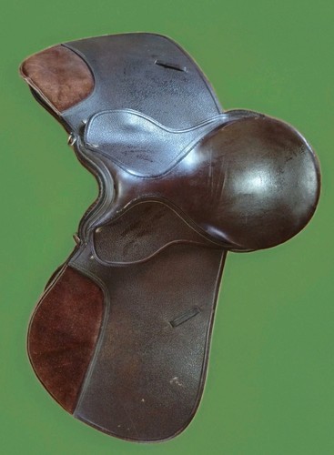 Polo dressage pelle - da, in