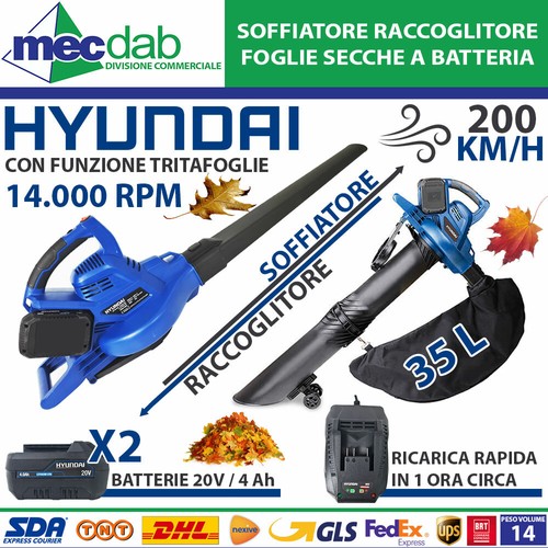 Soffiatore aspiratore - soffiatore,