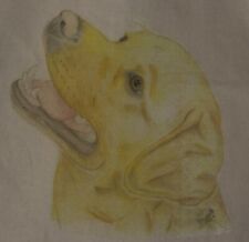 Labrador Bags- 3 sizes of bag