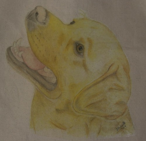 Labrador bags sizes - labrador, bag