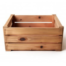 CASSETTE DELLA FRUTTA robuste