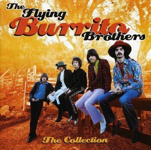 Flying burrito brothers - burrito,