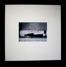 Joseph beuys eurasier - joseph,