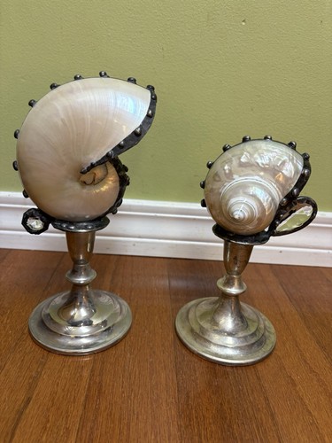 Nautilus shell art - shell, decò