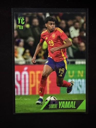Figurina panini 2025 top - 2025, class