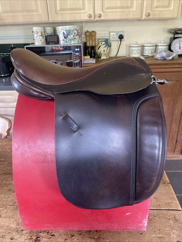 Pony cob horse - horse, ltd