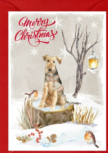 Biglietto natale welsh - biglietto, di