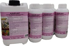ALGA PLANT 1/5/25KG CONCIME
