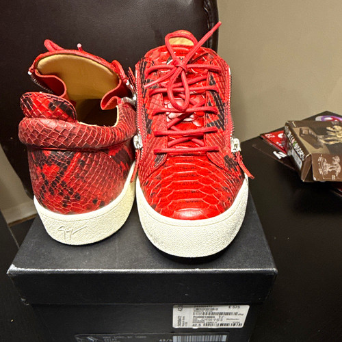 Giuseppe zanotti ru00010065 - giuseppe,