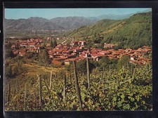 Cartolina Grignasco Panorama